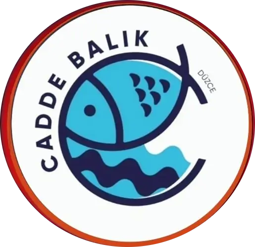 Rota 81 iş ortağı logosu 32